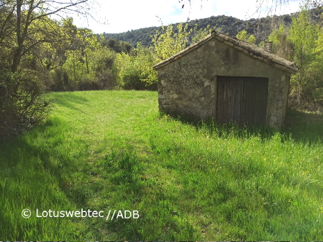 08 03 25 AD park ducks