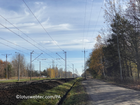 adagia 01 03 2025 mandarijn eend