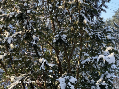 adagia 02 03 2025 natuur