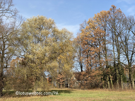 adagia 03 03 2025 architectuur