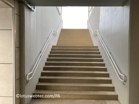 adagia 04 03 2025 sneeuw