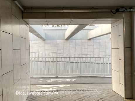 adagia 05 03 2025 sneeuw