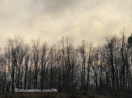 adagia 07 03 2025 nacht