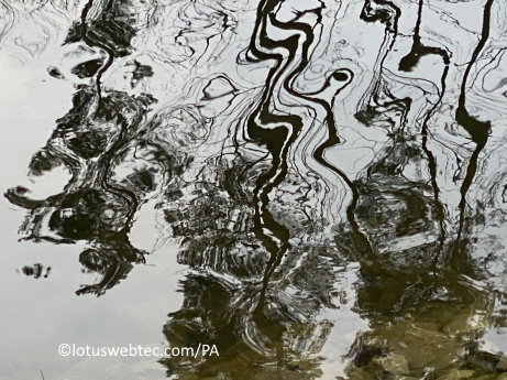 adagia 08 03 2025 art