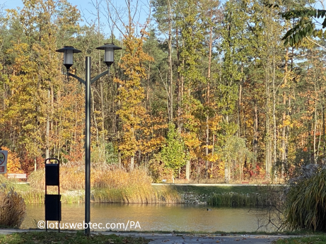 adagia 12 03 2025 kat