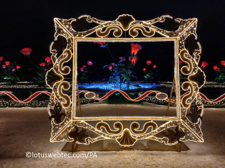 light_festlival_portrait_lands