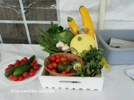 w 30 03 2025 nature