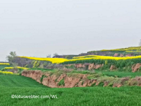w 01 04 2024
